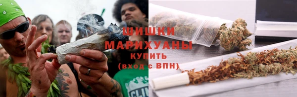 PSILOCYBIN Волосово
