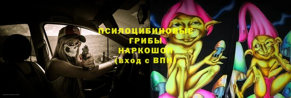PSILOCYBIN Волосово