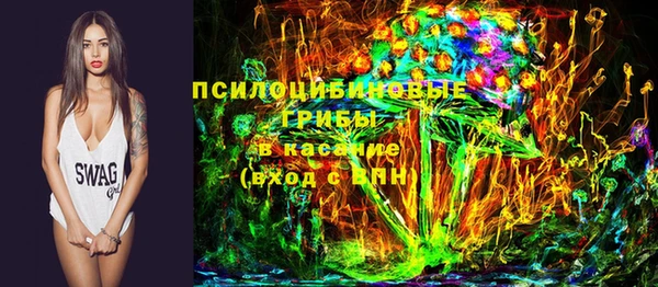 PSILOCYBIN Волосово