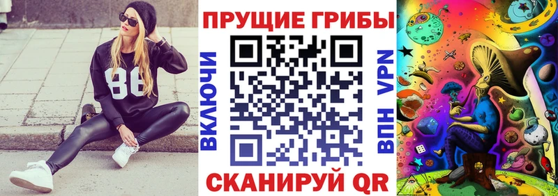 Купить где  Шилка  Псилоцибиновые грибы мухоморы 